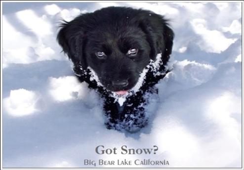 Got Snow - Big Bear Cabin Rentals at Timberline Lodge 909.866.4141