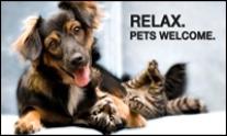 Timberline Lodge in Big Bear Lake is a provider of Pet Friendly lodging
